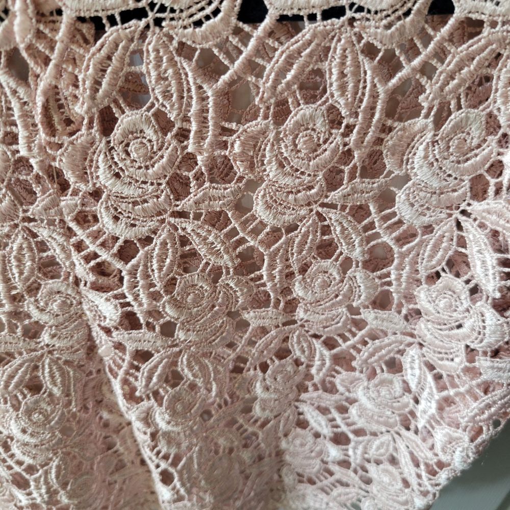 Reformation‎ XS Beige/Pink Floral Lace Crochet Crop Top Sheer Romantic Coquette - Picture 6 of 8
